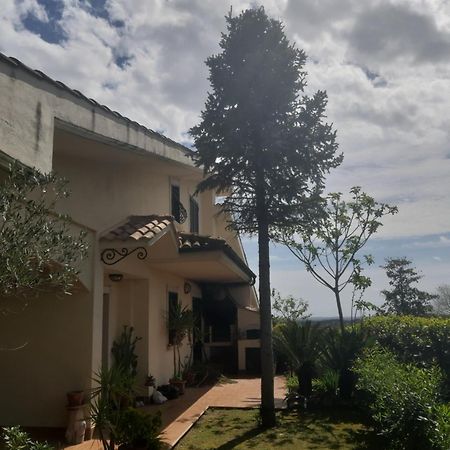 Affittacamere Parco Azzurro Colle Verde Bagian luar foto